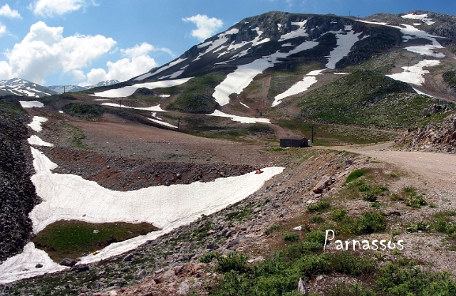 0277 parnassos.jpg